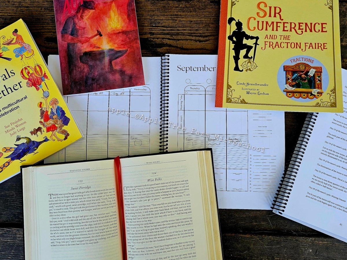 Homeschool 101: Curriculum