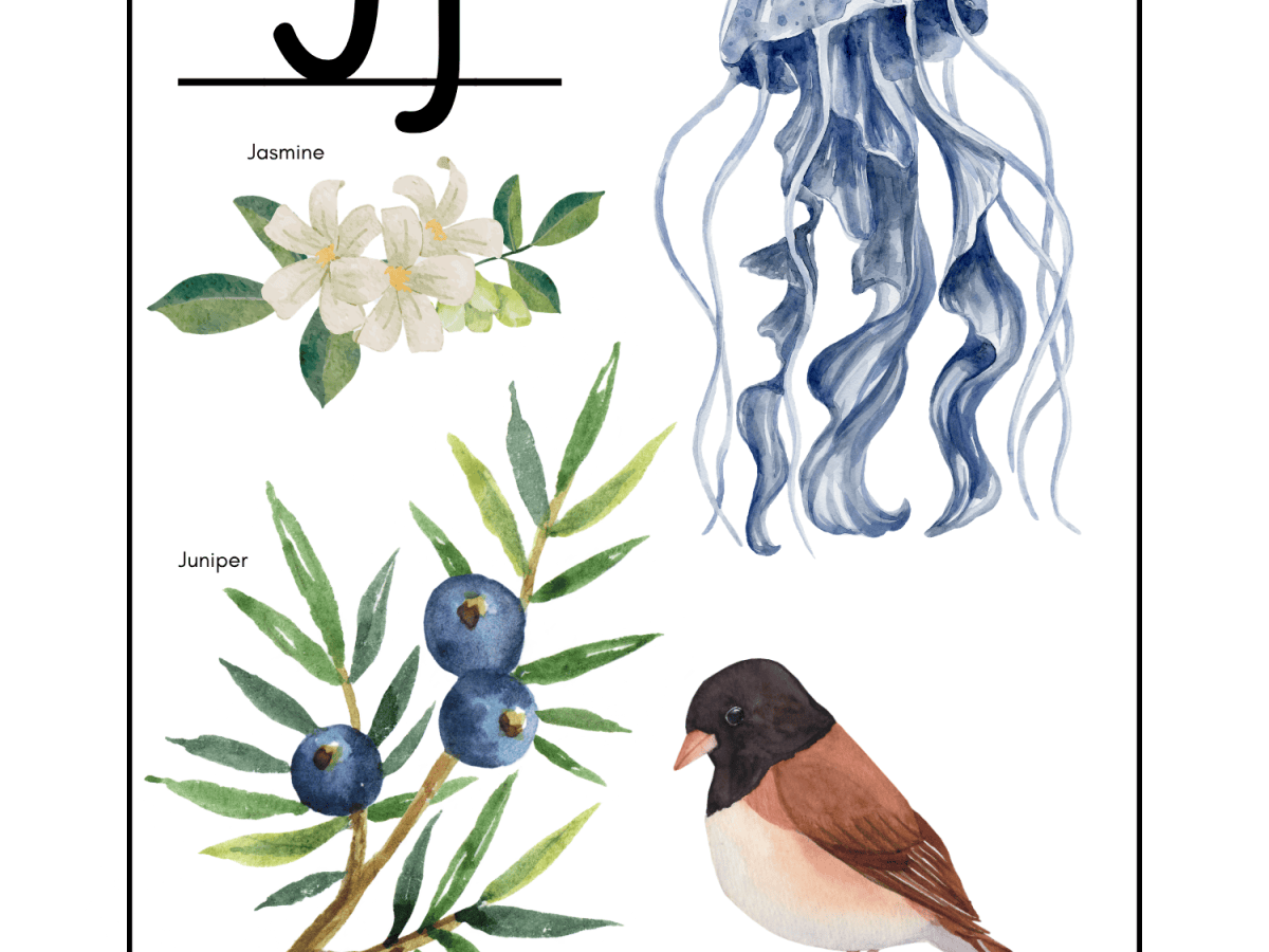 Nature Alphabet Wall&nbsp;Prints