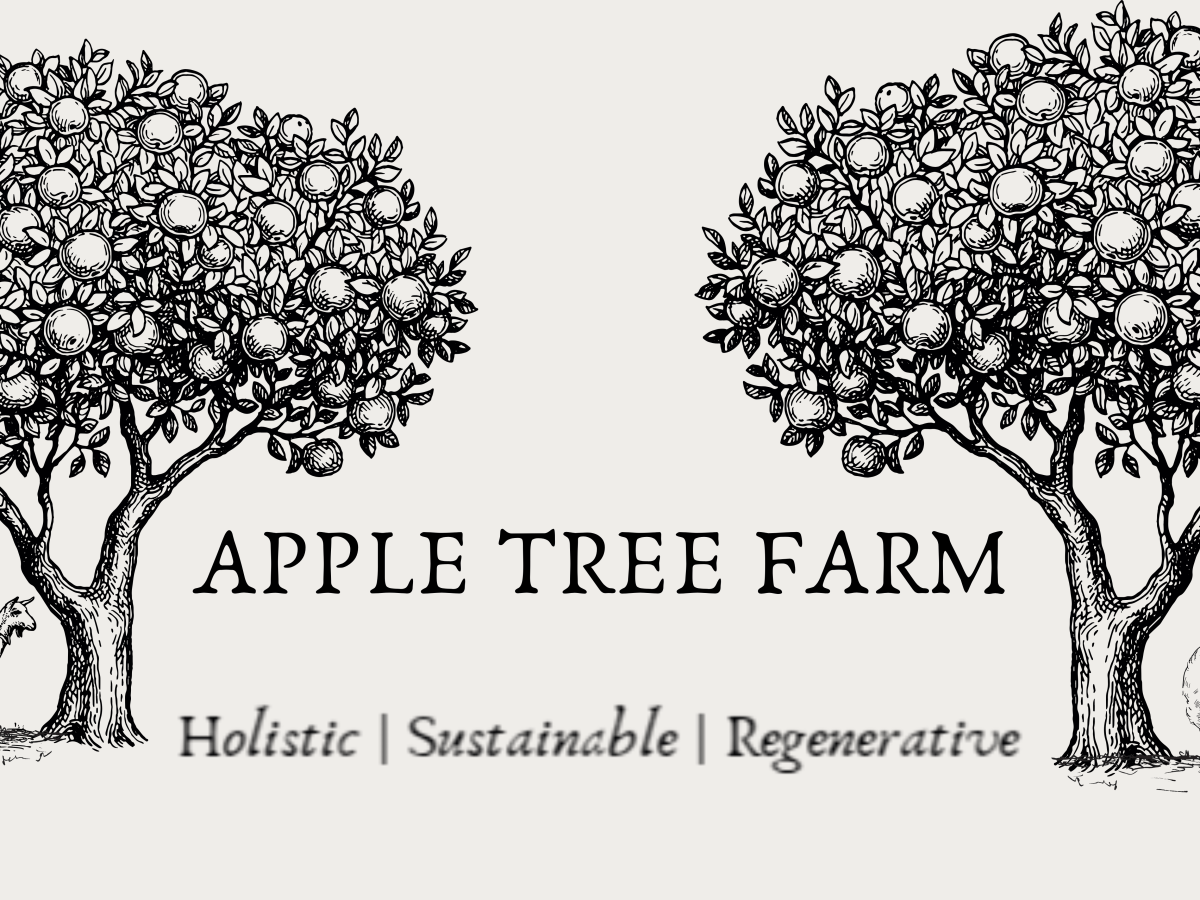 Newsletter: August 2026