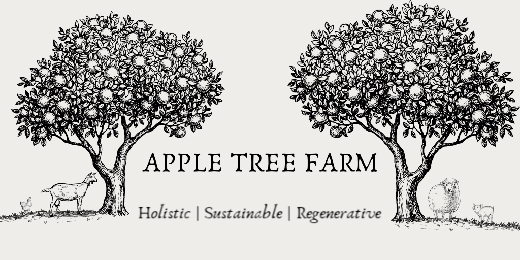 Newsletter: August 2026